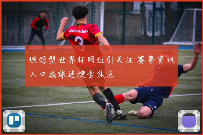 理想型世界杯网址引关注 赛事资讯入口成球迷搜索焦点