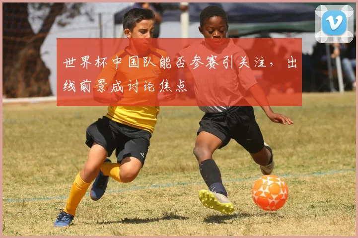 世界杯中国队能否参赛引关注,出线前景成讨论焦点